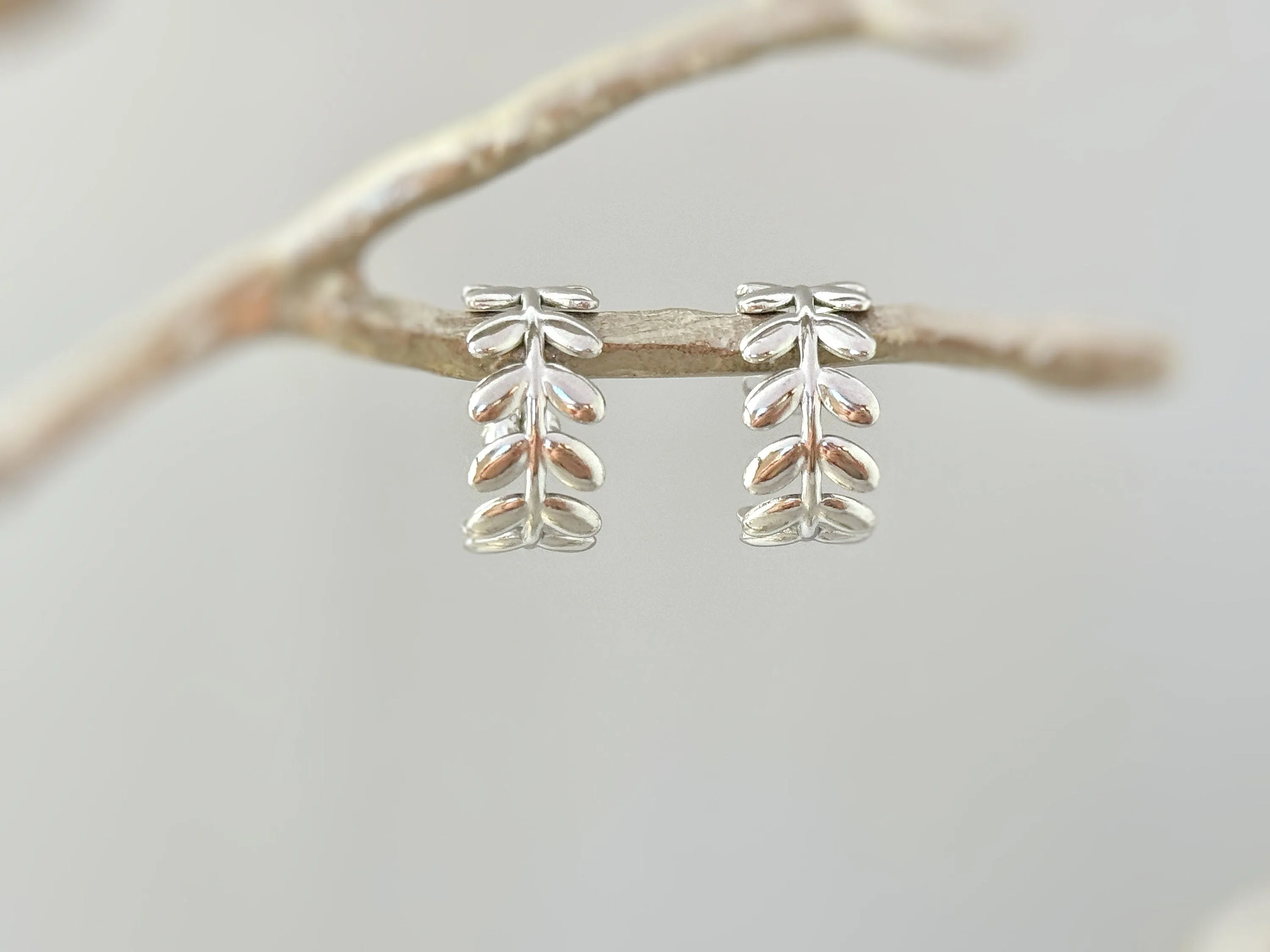 Rose Gold Olive Leaf Earrings Stud Hoops