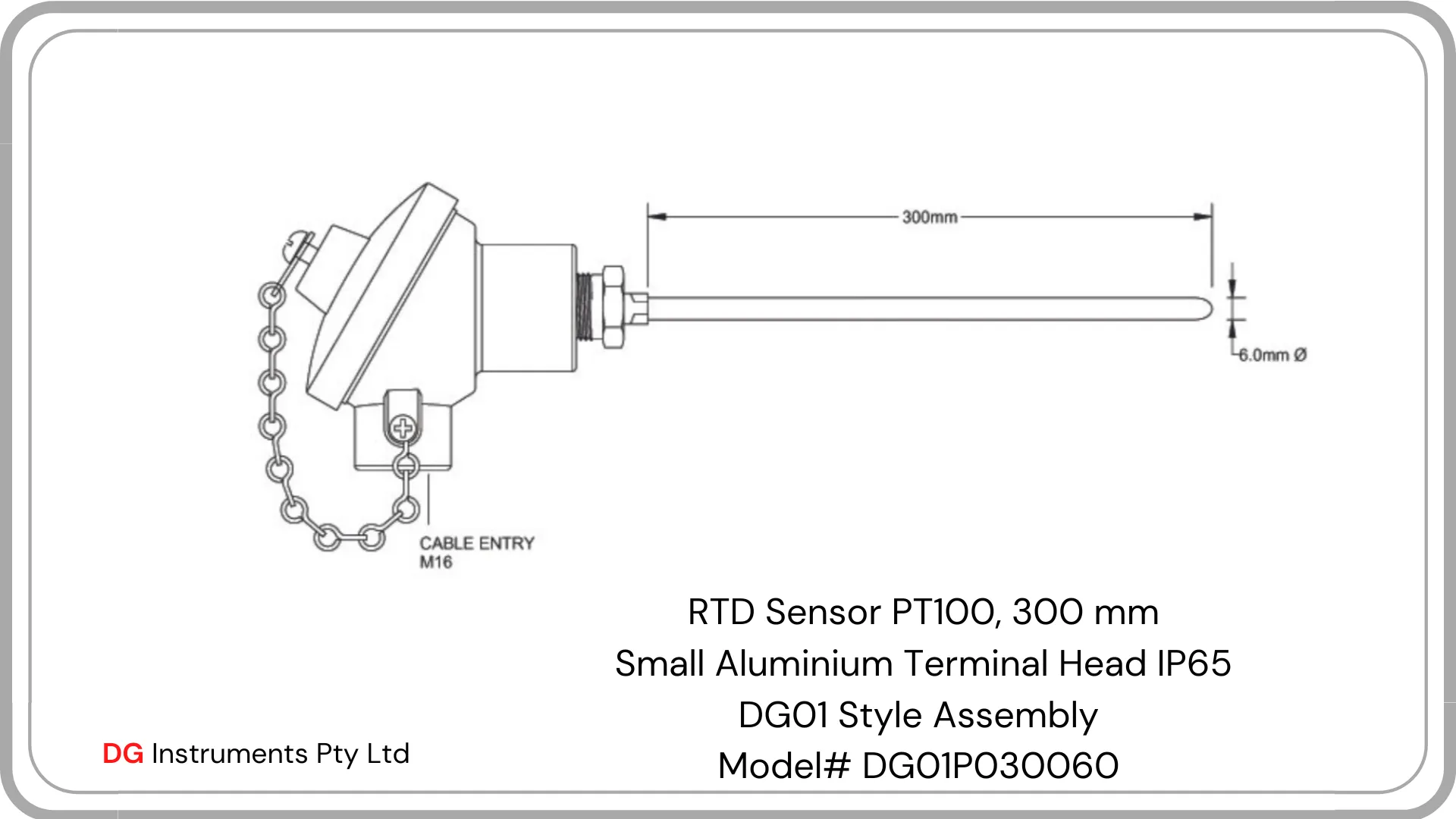 RTD Sensors with Small Terminal Head