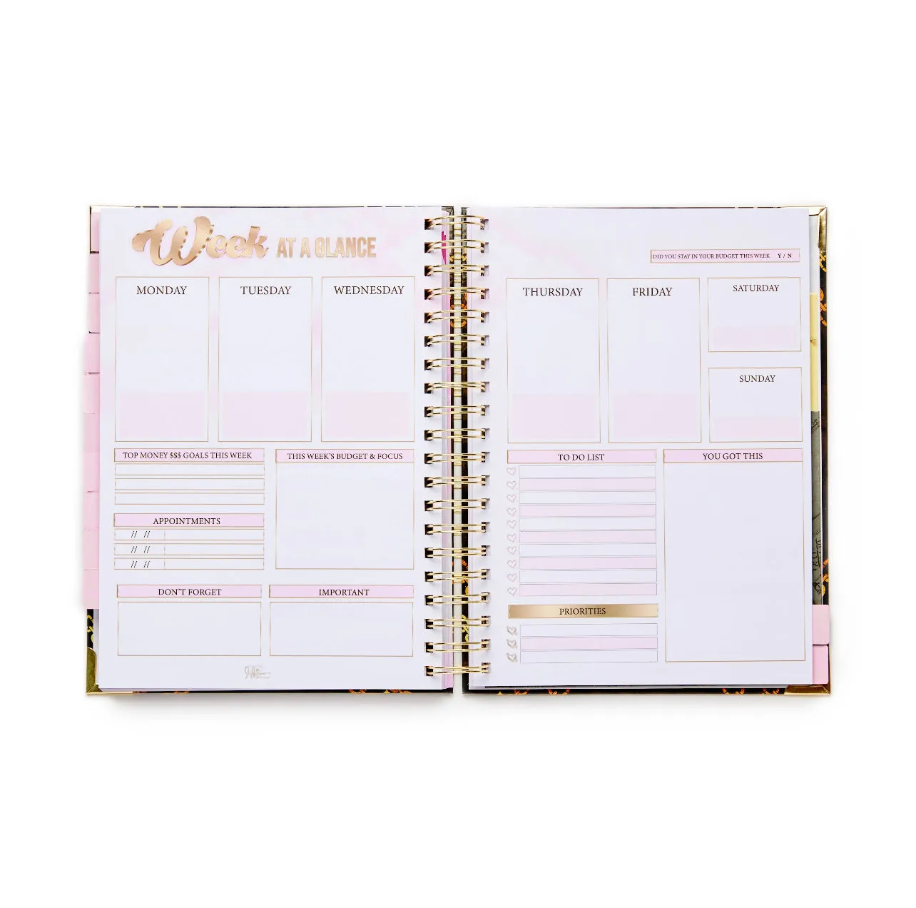 The Dreamscape Financially Flawless Planner